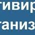 Самомотивация и самоорганизация Как дисциплинировать себя Саморазвитие и мотивация себя