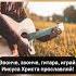 Зов Спасения Я пою под гитару текст