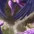 MLP Zephyr And Twilight Sparkle