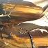 Rhapsody Of Fire The Pride Of The Tyrant With Lyrics
