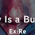 Ex Re Misery Is A Butterfly