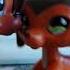 LPS Music Video Wasteland