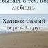 Они научили меня ценить верность Цитаты из фильмов Shorts