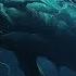 Position Music Shadow King Epic Music Majestic Heroic Orchestral