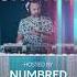 Numbred When The Night Falls 210