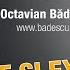 Agonie Si Extaz In Business Mindtalk Cu Octavian Badescu 306