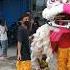 Barongsai Pink Shortvideo Short Imlek Barongsai Barongsai