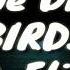 Imagine Dragons Birds Ft Elisa Lyrics