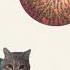 Squid Game Mingle Song Cat
