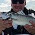 Mega Bass Fishing Fly Vs Lure