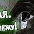 Modern Warfare 1 БАГИ и приколы в ПРИПЯТИ