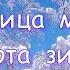 Барнаул столица мира Красота зимней природы