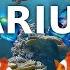 Entspannungsmusik Aquarium Unterwasserwelt Musik Zum Einschlafen Und Meditieren 3h Full HD