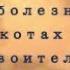 кто такие целители виды болезни коты воители белолапка кв