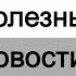 Полезные новости на телеканале Татарстан 24