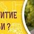 Духовное развитие важнее семьи Библия отвечает Профессор Алексей Ильич Осипов