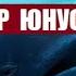 Пайгамбар Юнус алейхи салам Кыргызча котормо