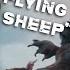 The Boys Are Attacked By Crazy Flying Sheep The Boys S4