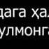 Хар бандага халол мусулмонларга харом