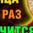 10 ноября ВКЛЮЧИ 1 РАЗ Акафист Казанской ЧУДО СЛУЧИТСЯ ПРЯМО НА ГЛАЗАХ Православие