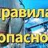 12 ключевых правил безопасности ПАО Газпром безопасность на производстве