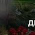 Свет Истины 21 02 2021