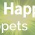 Life S A Happy Song The Muppets Karaoke Version KaraFun
