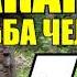 МАКАРЫЧ В ТАЙГЕ МАЧЕХА В ЗИМОВЬЕ СТАТЬ ГЕОЛОГОМ ПЕРВОЕ СВИДАНИЕ ДЕД НЕ ХОЧЕТ НЕВЕСТКУ 7 из