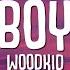 Woodkid Run Boy Run Lyrics