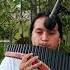 Unchained Melody Unchainedmelody Therighteousbrothers Coversong Instrumental Panflute Like