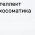 МузТерапевт Ру 2017 ЭМОЦИОНАЛЬНЫЙ ИНТЕЛЛЕКТ И СОВРЕМЕННАЯ ПСИХОСОМАТИКА Валентин Петрушин
