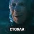 На них напала ведьма