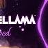 AViVA Blame It On The Kids Nightcore LLama Reshape