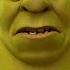 Do NOT Ask Shrek To Do The Roar Shrek Forever After Now Playing On Netflix