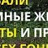 Дача в Германии Мыши оккупируют дачные участки Ловить пугать или травить Что выбираем