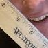 Westcott Wood 12 Inch School Ruler