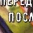 Ангелы ОТКРОЮТ Вам Что Происходит То что не знаете и не догадываетесь Таро знаки Судьбы Tarot