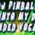 Trance Dj Pinball Come Into My Dreams Extended Vocal Mx