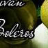Quizas Quizas Quizas