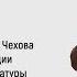 Евсеев Художественные открытия Чехова и новый виток эволюции русской и мировой литературы