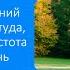 Фізика 7 НУШ Урок 22 Коливальний рух Амплітуда період і частота коливань