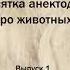 Десятка анекдотов про животных Выпуск 1