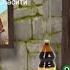 ПрЫколы 5 Wild Craft