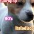You Can Win If You Want A Puppy S Story Eurodisco Italodisco 80s Bollekman Official Video