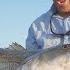 Finding Schools Of Striped Bass On MEGA Side Imaging