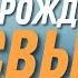 Рождён ли ты свыше Виталий Рожко 1 е Петра 2 1 10