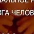 С В Савельев Эмбриональное развитие мозга человека