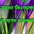 Встречай любимая меня 2025 Автор исполнитель Алексей Вензель