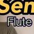 SEÑORITA FLUTE RECORDER COVER With Chords Notes And Lyrics By Shawn Mendes And Camila Cabello