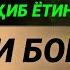 КЕЧАСИ ЎХЛАШДАН ОЛДИН БУ СУРАНИ ЎҚИШНИ ФАЗИЛАТИНИ ҚАРАНГ АЛБАТТА СИЗҲАМ АМАЛ ҚИЛИНГ